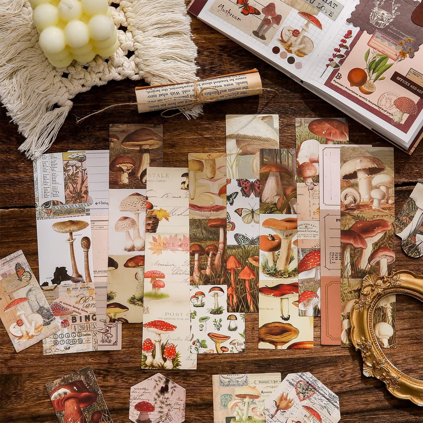 Mushroom in the Wild Scrapbook Kit