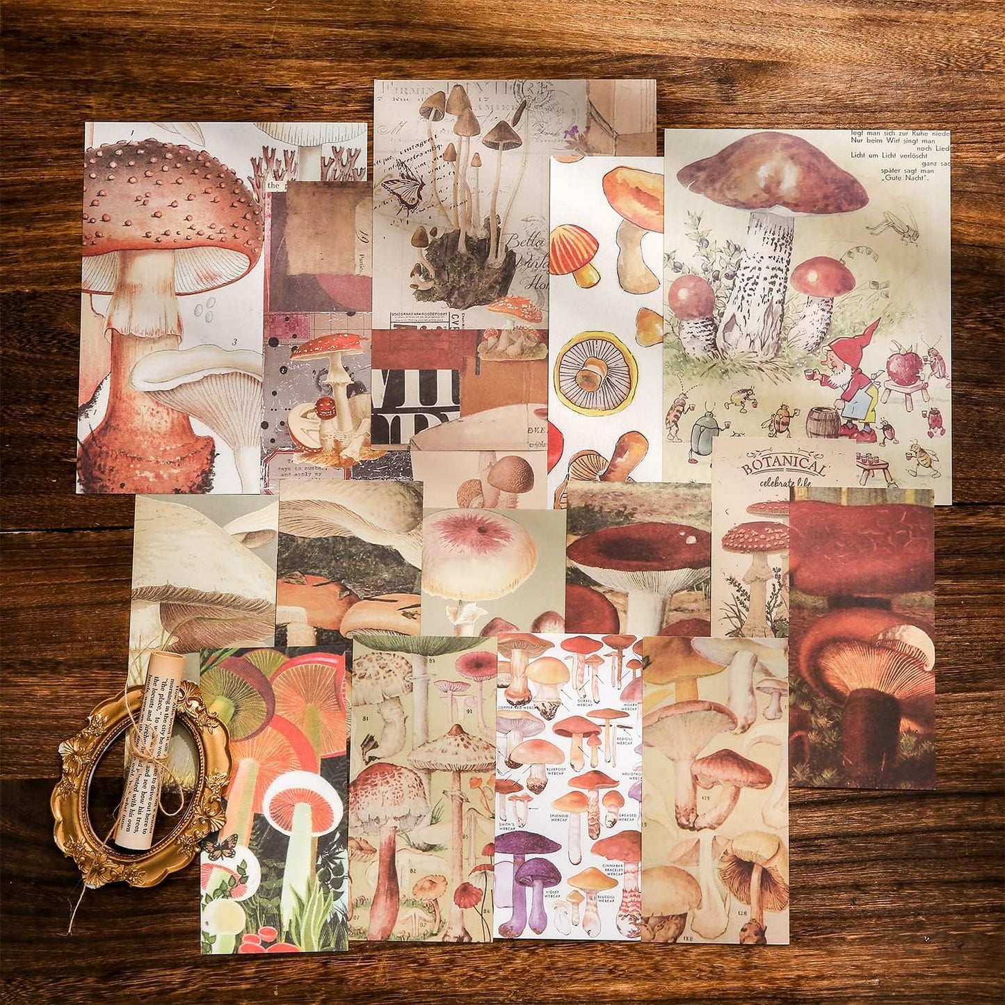 Mushroom in the Wild Scrapbook Kit